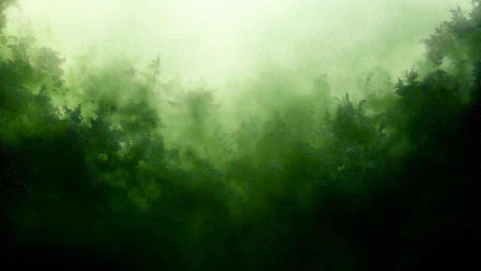 Abstract green forest