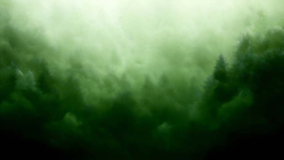 Abstract green forest