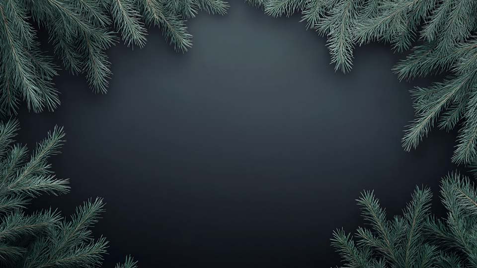 Dark blue background with green pine branches