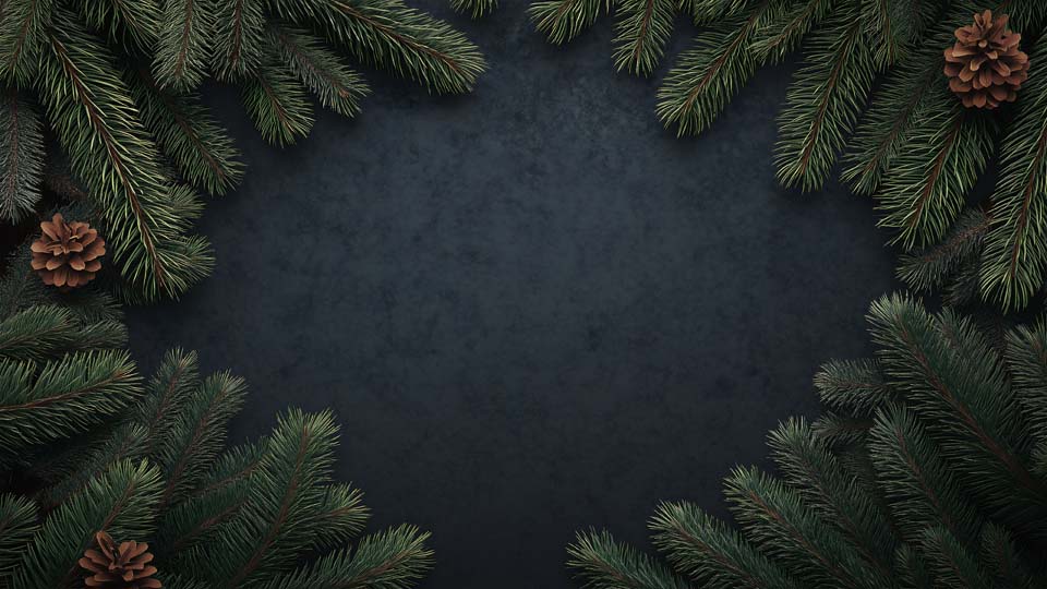 Dark blue background with green pine branches and cones