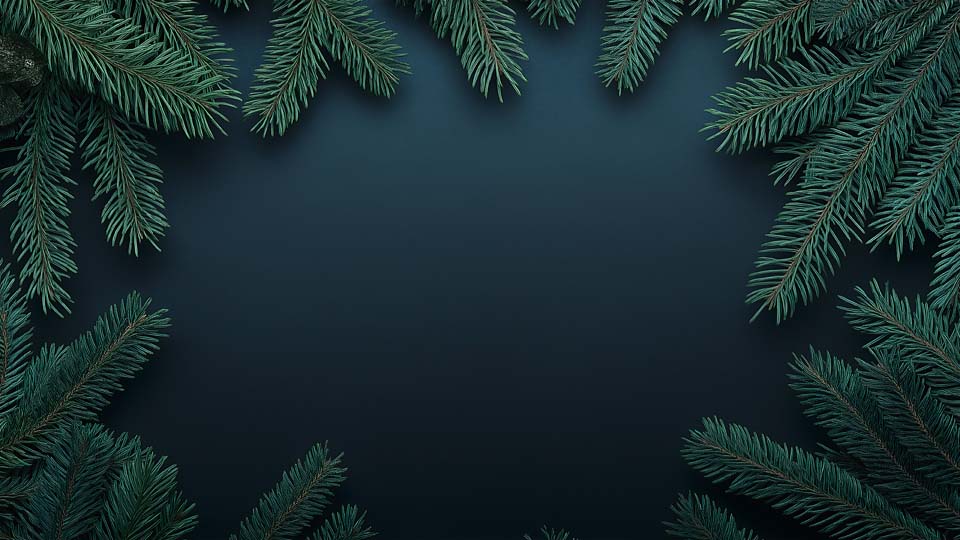 Dark blue background with green pine branches