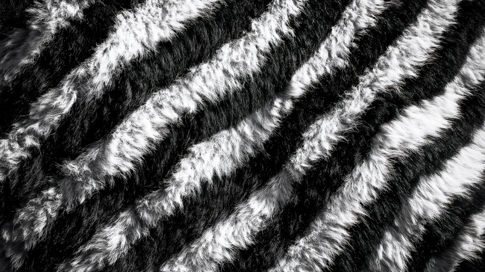 Black and white fur pattern