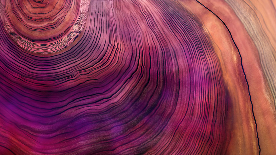 Wood grain texture in purple and pink