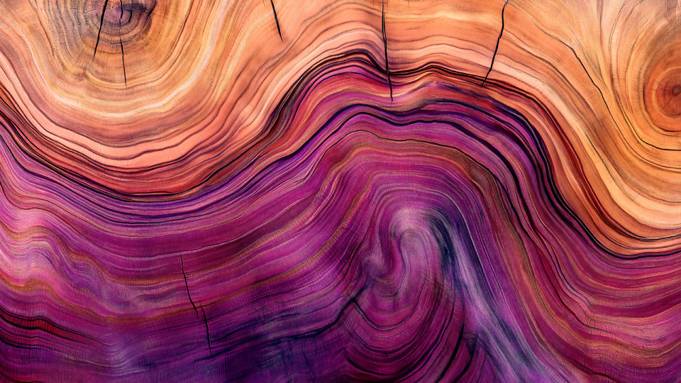 Wood grain texture in purple and pink