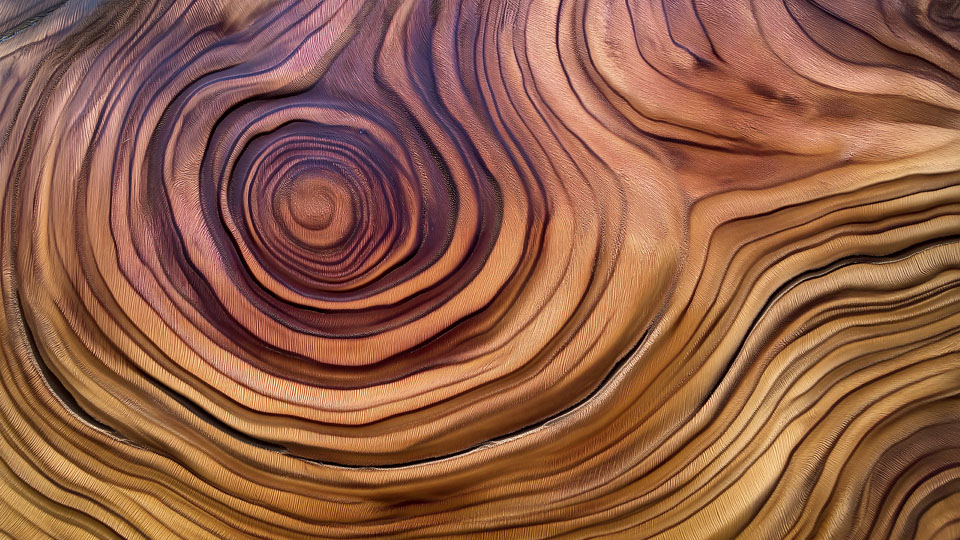 Close-up of wood grain