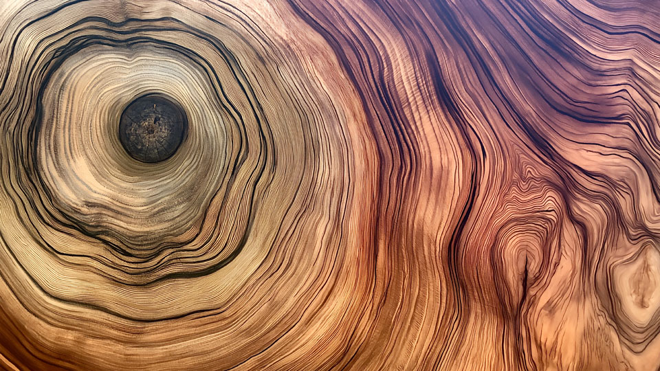 Close-up of wood grain