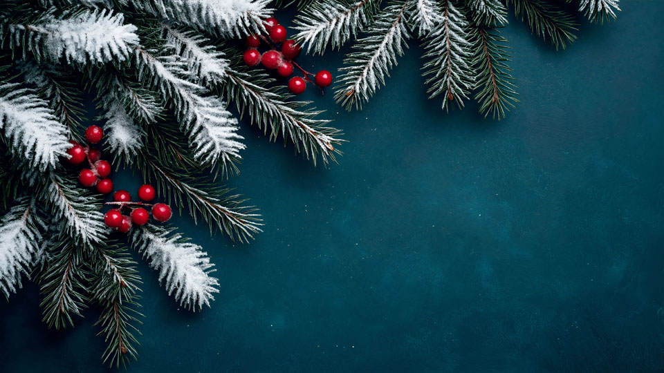 Christmas background with fir branches and berries