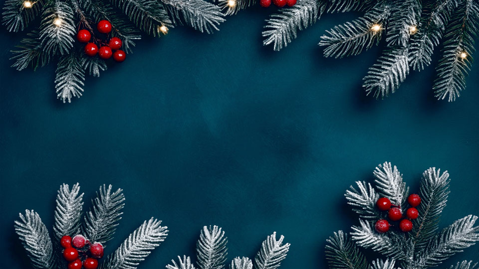 Holiday flat lay with fir branches and berries