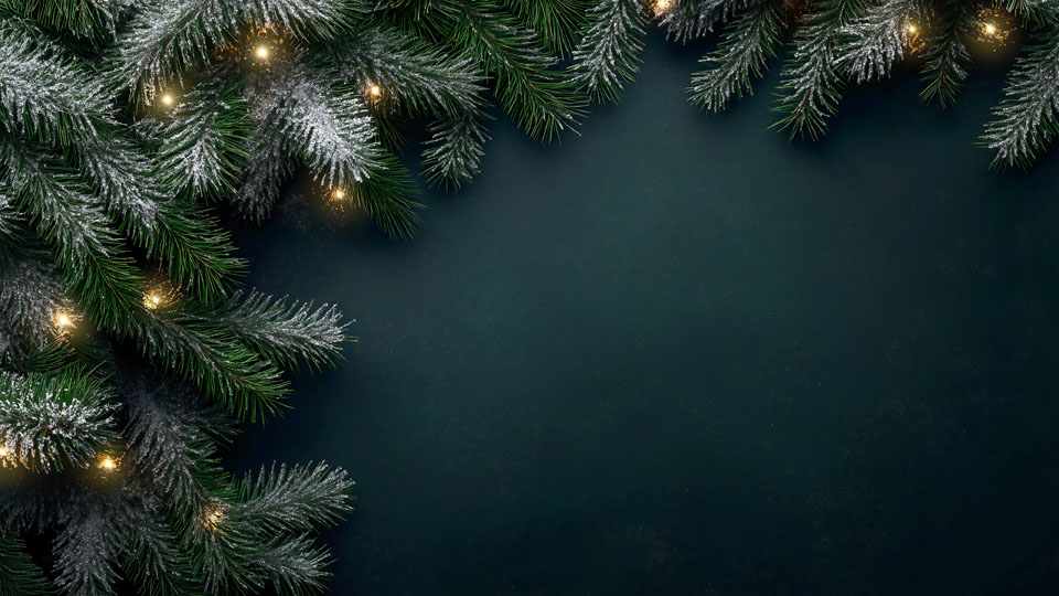 Christmas tree background with snow and lights