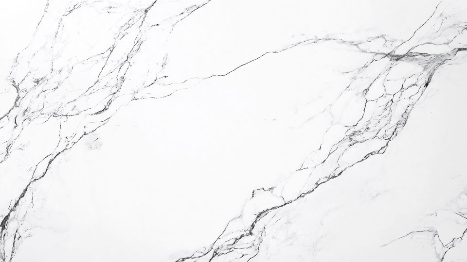 White marble texture with fine black veins