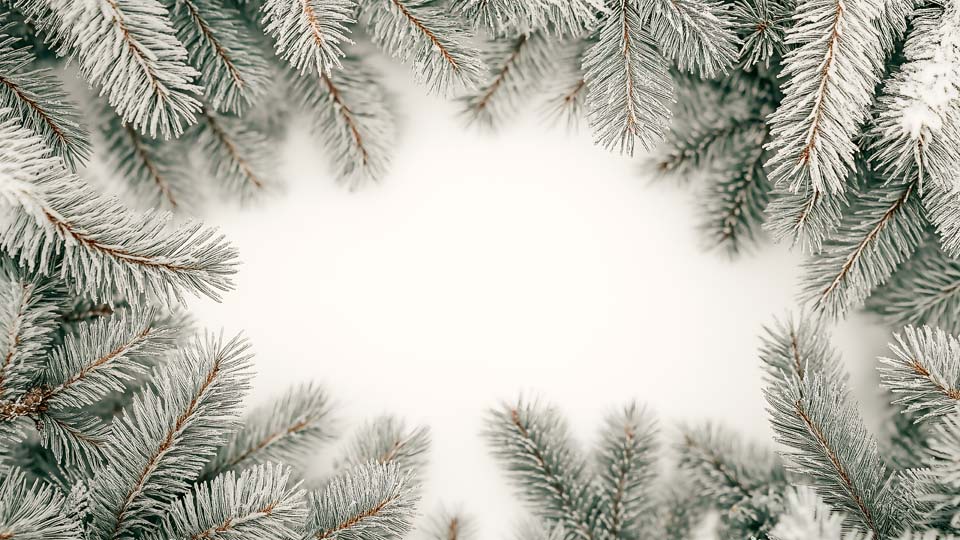 Frosty winter frame