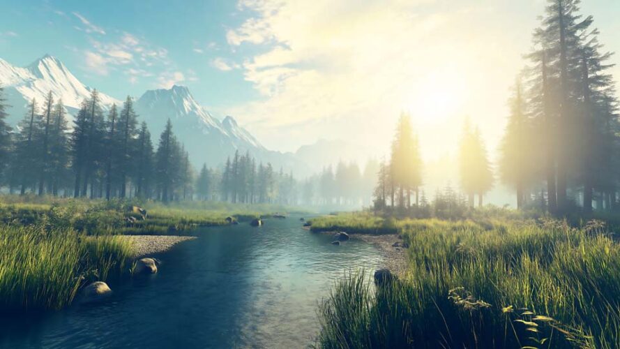 Serene landscape with tall trees