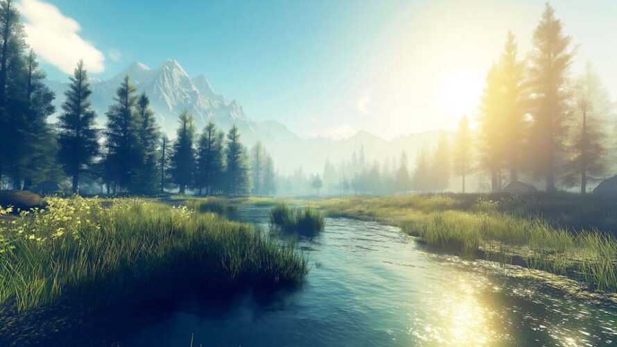 Serene landscape with tall trees