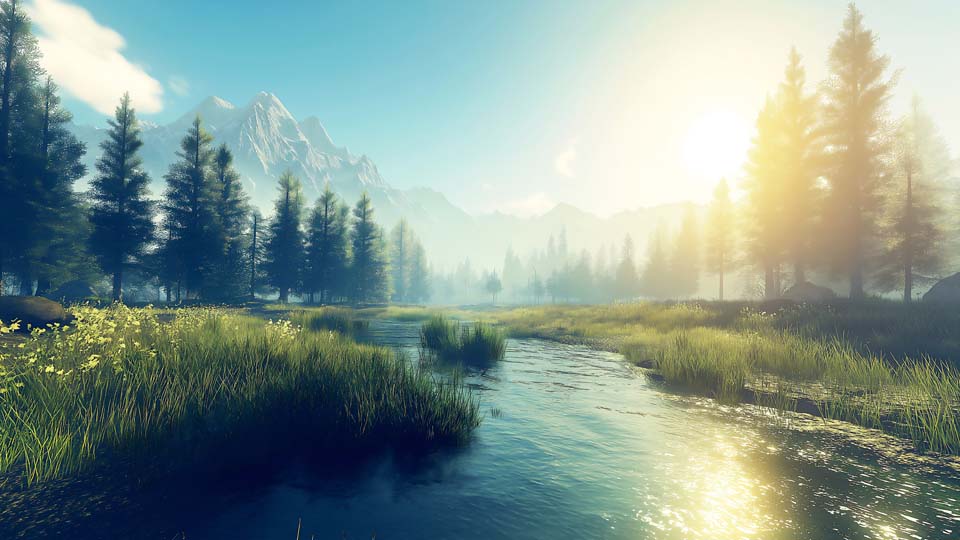 Serene landscape with tall trees