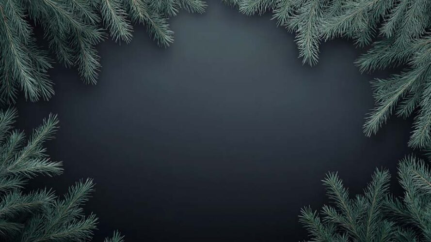 Dark blue background with green pine branches