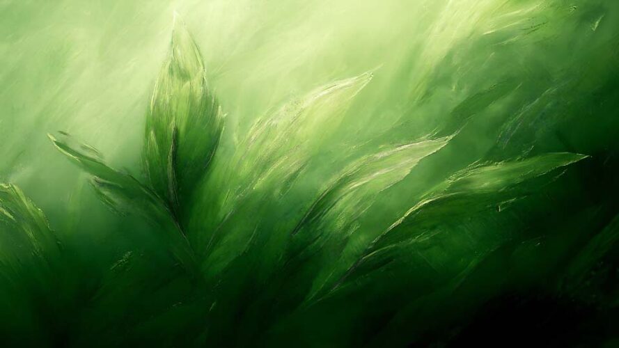 Soft green leaves