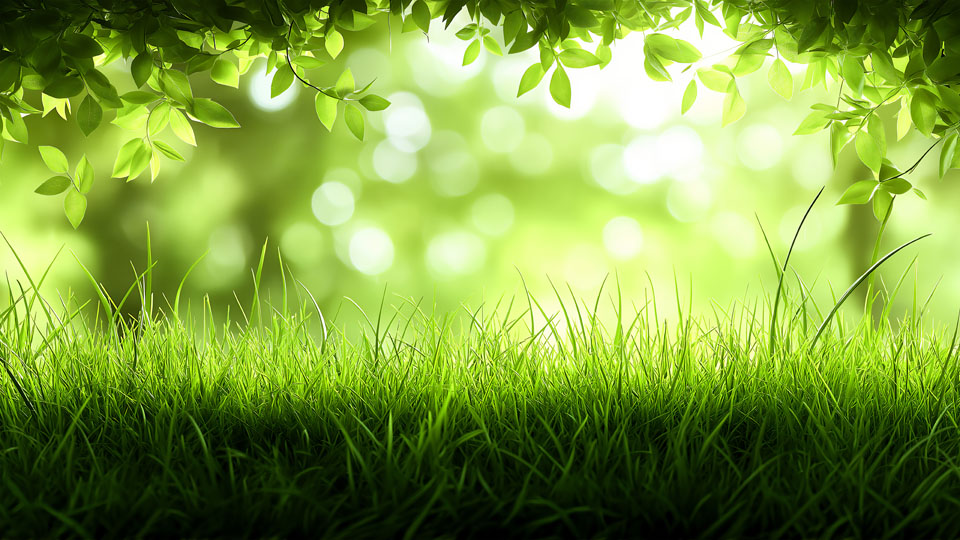 Green grass background