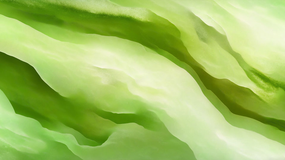 Green Seedling in Black Earth