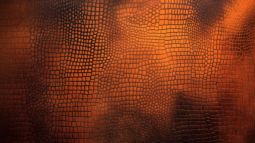 Alligator skin pattern