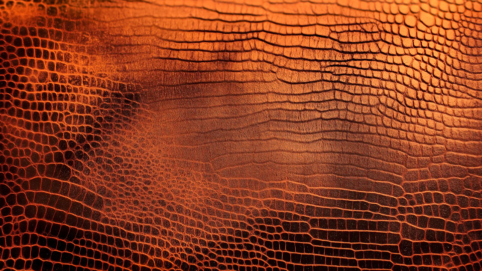 Alligator skin pattern