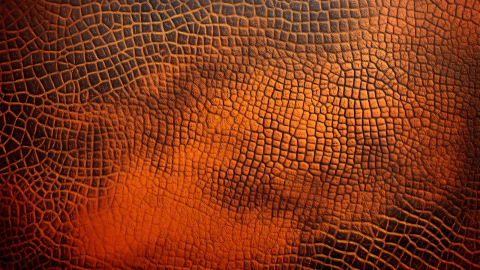 Alligator skin pattern