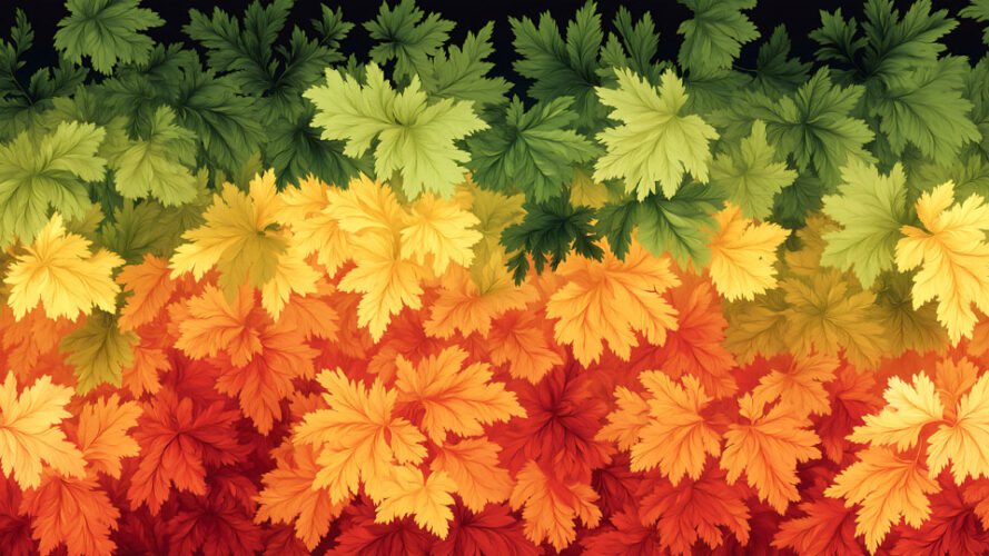 Gradient of green, orange, and yellow maple leaves
