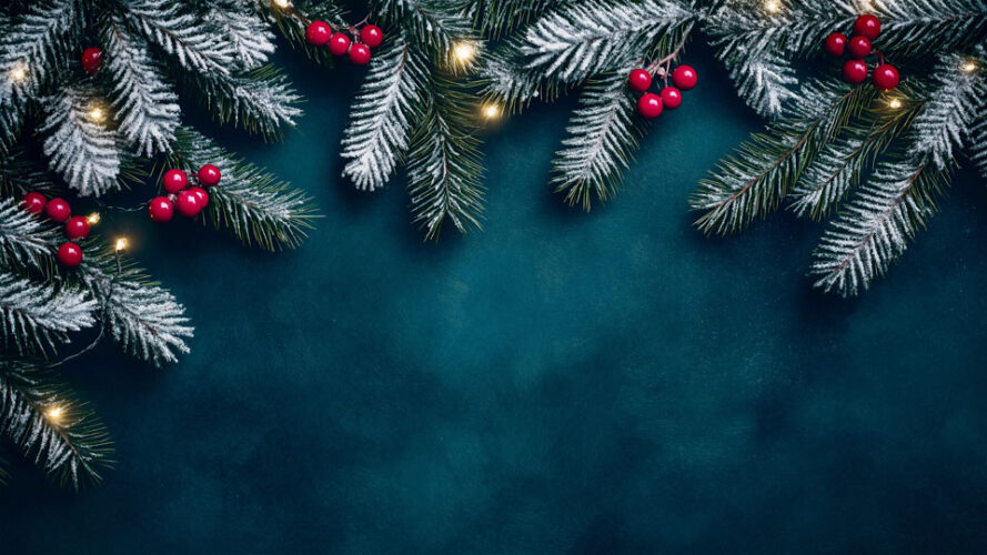 Festive flat lay with fir branches and berries