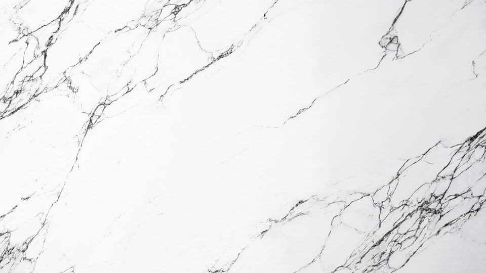 Minimalist white marble design with black veins