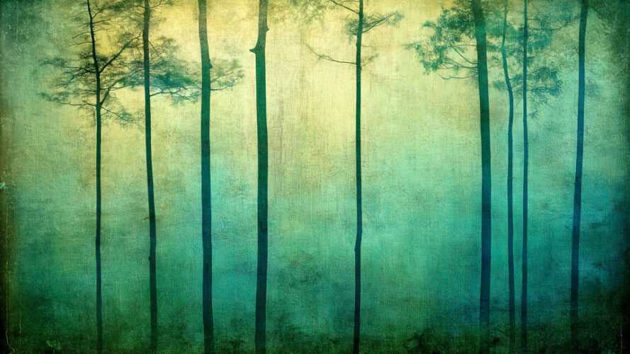 Vintage misty pine forest in teal and blue tones